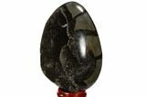Septarian Dragon Egg Geode - Black Crystals #118742-2